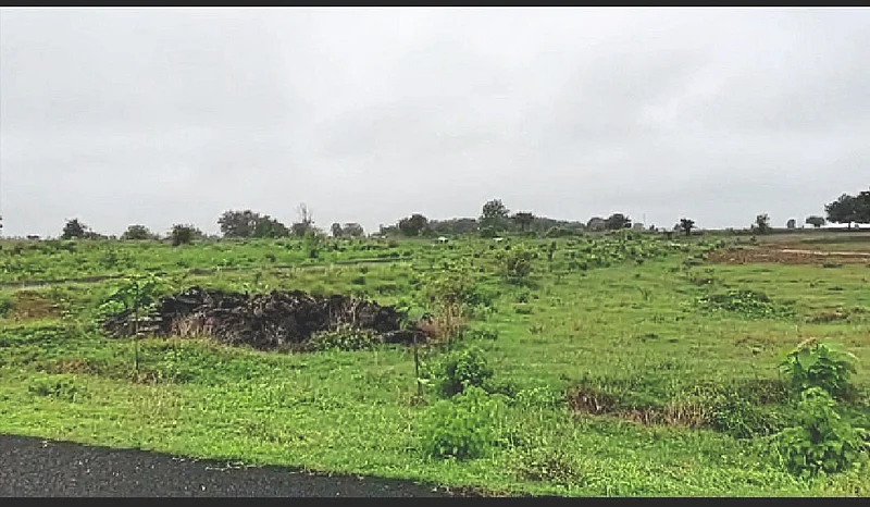 कवडीमोल भावात दिली जमीन; तरी पिढी बर्बाद! कुठे गेला लढावू बाणा?