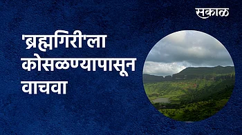 ब्रह्मगिरी पर्वत}