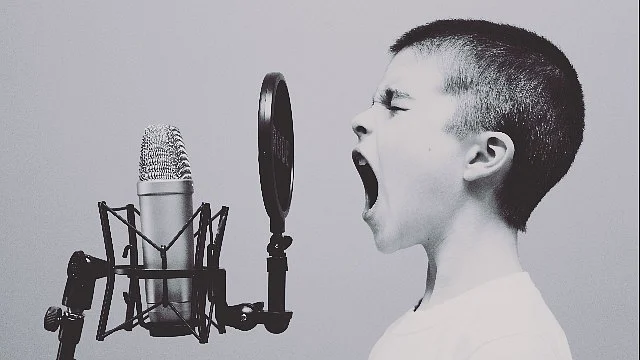 voice