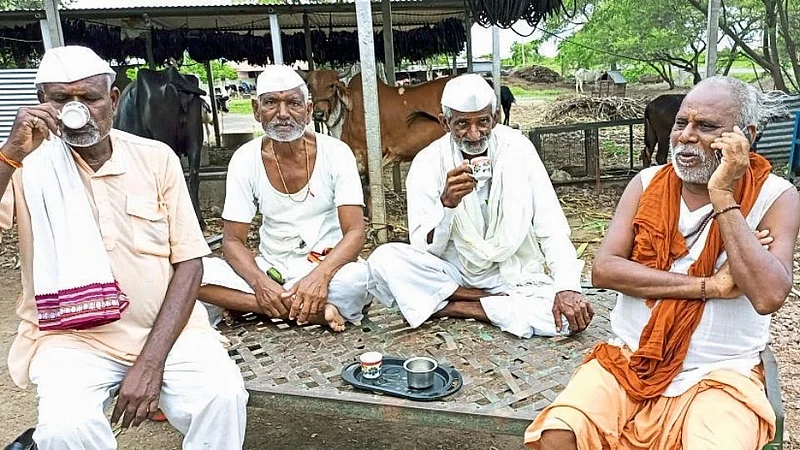 आम्हाला सर्दी, पडसं अन् खोकला काहीही त्रास नाही !