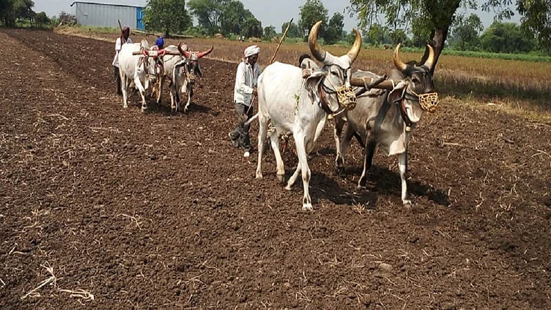 parani