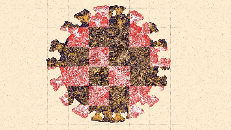delta plus varient