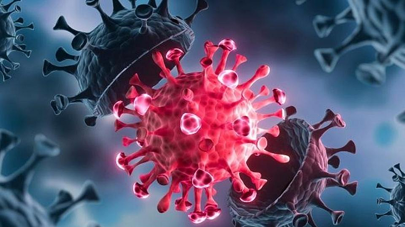 Coronavirus
