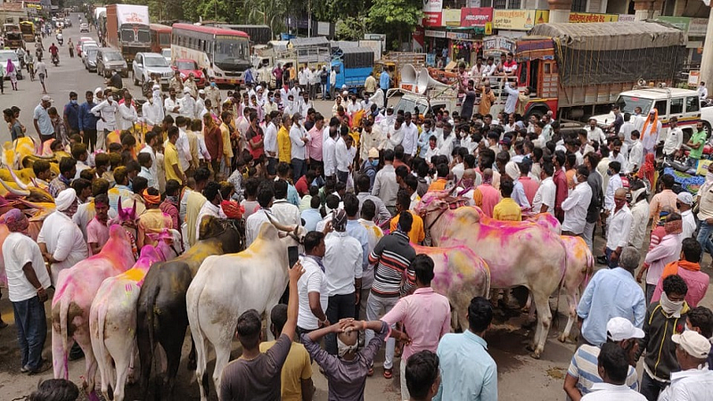UP elections 2022 Farmers movement