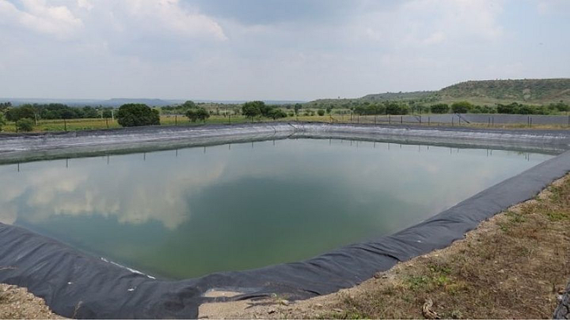 farm pond