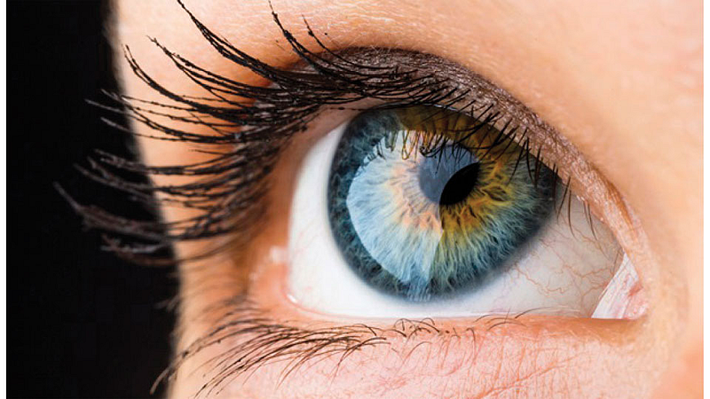 Eye
