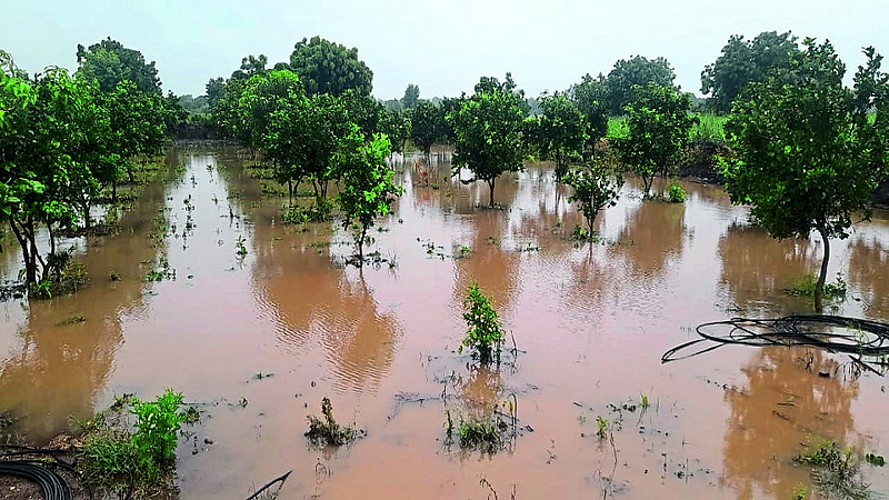 अतिवृष्टीमुळे नुकसान