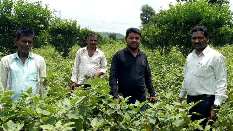 शेतकऱ्याने घडविला ‘विकास’; पिकांचे केले नियोजनबद्ध व्यवस्थापन