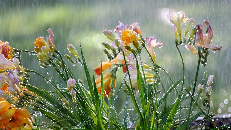 rain updates