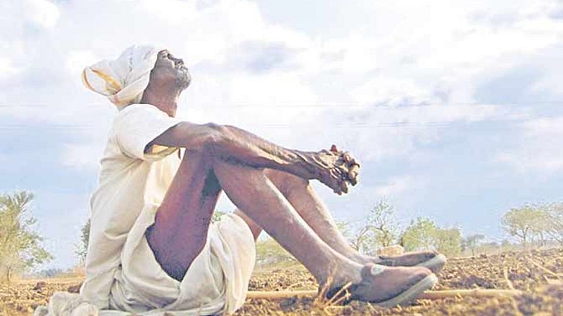 farmer waiting for rain