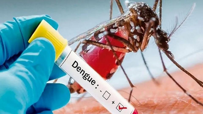 Dengue