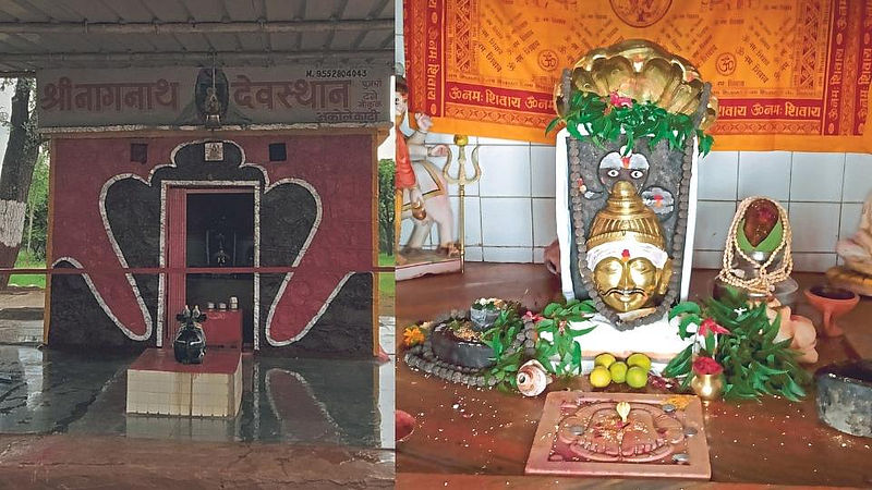 श्रावण विशेष : माळढोक अभयारण्यातील नागनाथ मंदिर