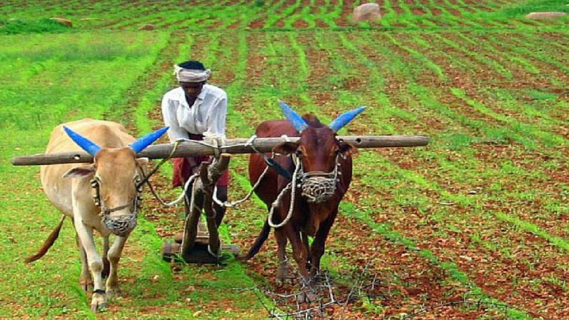 FARMER