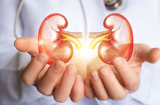 सुपरच्या किडनी प्रत्यारोपणाला पुन्हा मंजुरी