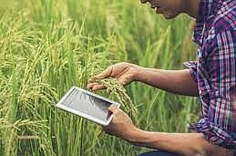 पूरग्रस्तांना नुकसान भरपाईची प्रतिक्षा पूरग्रस्तांना नुकसान भरपाईची प्रतिक्षा