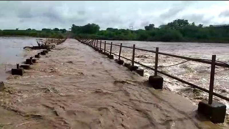 दमदार पावसामुळे सीना नदीवरील चार बंधारे पाण्याखाली!