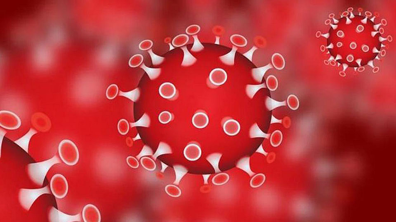 Coronavirus