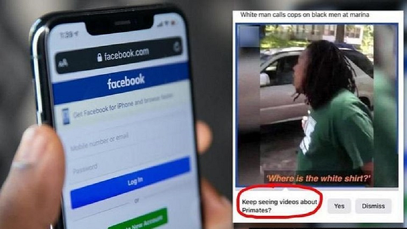 viral fb