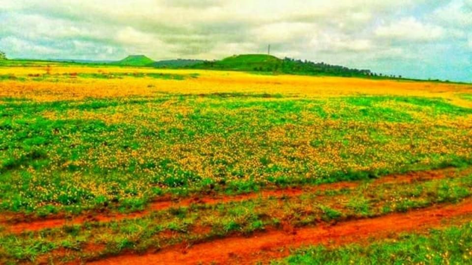 Kas Plateau