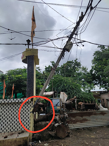 light pole