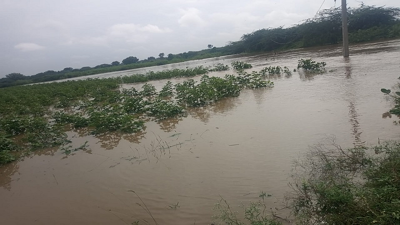शेतात पाणी साचले