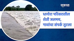 बीड जिल्ह्यातील धानोरा परिसरातील शेती जलमय; पाहा व्हिडिओ बीड जिल्ह्यातील धानोरा परिसरातील शेती जलमय; पाहा व्हिडिओ