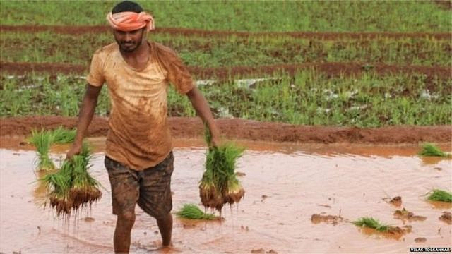 farmer