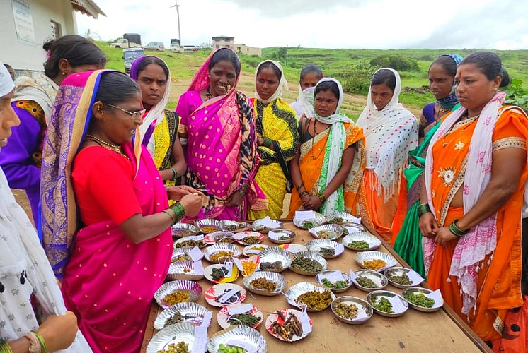 Celebration of Ranbhaji Festival in Kombhalne