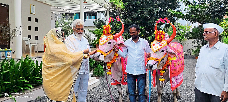 agriculture minister dada bhuse bail pola festival malegaon