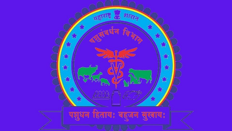 अमरावती : मेळघाटातील पशुधन वाऱ्यावर; १३ जागा रिक्त