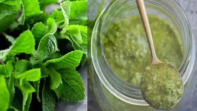 जाणून घ्या: बिर्याणीत वापरल्या जाणाऱ्या पुदिनाविषयी