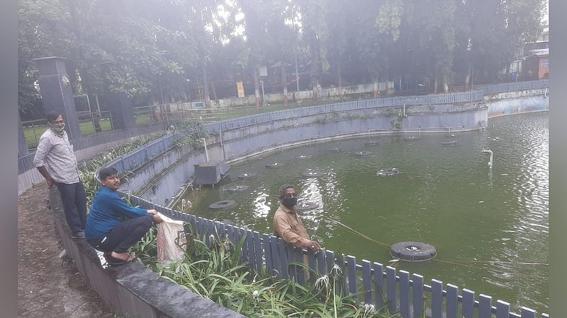 पद्मावती कै. काकासाहेब गाडगीळ उद्यान तलावातील मासे मेल्याने दुर्गंधी