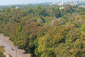 NAGPUR