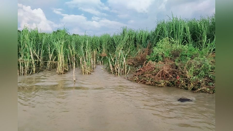 घनसावंगी तालुक्यात चार हजार हेक्टर पिकांचे नुकसान