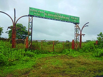लाखोचा निधी वाया; कोकणातील 'या' जैवविविधता पार्कचे बनले जंगल