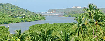 pavas
