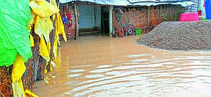 पाहा फोटो: नागपुरात पावसाचं तांडव, पिकांचे तीनतेरा पाहा फोटो: नागपुरात पावसाचं तांडव, पिकांचे तीनतेरा