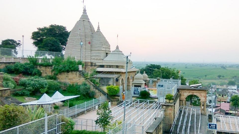 शमीच्या वृक्षातून निघाले ‘शमी विघ्नेश’; चला पर्यटनाला