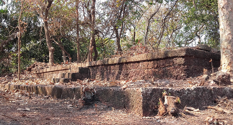 राजापूर : छत्रपती शिवाजी महाराजांच्या हिंदवी स्वराज्याची साक्ष देणार्या अनेक गडकिल्ल्यांमध्ये तालुक्याच्या पश्चिम भागातील नाटे येथील किल्ले यशवंत गडाचा समावेश होतो. तत्कालीन स्थापत्यशास्त्र आणि दूरदर्शीपणाची साक्ष देणाऱ्या या किल्ल्याचा काही भाग सध्या ढासळला असून किल्ल्याला झाडेवेलींचा विळखा पडला आहे. विविध संघटना, स्थानिक ग्रामस्थांसह शिवप्रेमींकडून किल्ल्याच्या परिसराची गेल्या काही वर्षापासून साफसफाई केली जात असली तरी किल्ल्याची डागडूजी करणे त्यांच्या आवाक्याबाहेर आहे. त्यासाठी शासनासह पुरातत्त्व विभागाने पुढाकार घेतल्यास स्वराज्याच्या पाऊलखुणांचे जतन आणि संवर्धन होणार आहे.