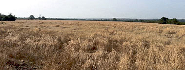 ratnagiri