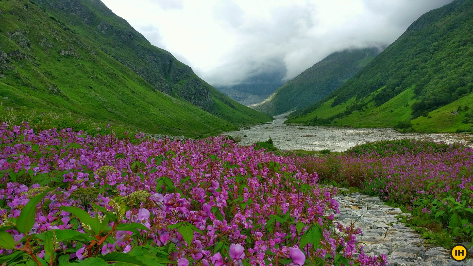 फ्लॉवर व्हॅली