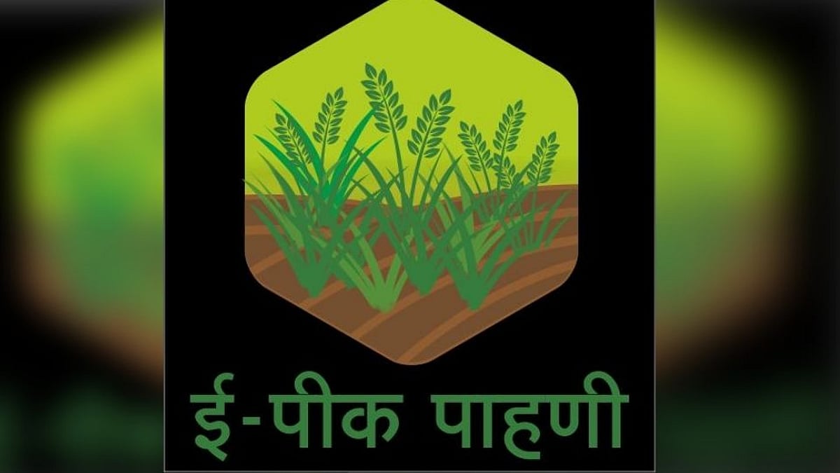 नांदेड जिल्ह्यात 'ई-पीक पाहणी' साठी मंगळवारपासून विशेष मोहिम | Sakal