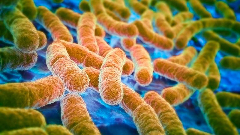 Infection