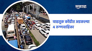 ग्रेड सेपेरेटरमध्ये अडकला कंटेनर; पाहा व्हिडिओ ग्रेड सेपेरेटरमध्ये अडकला कंटेनर; पाहा व्हिडिओ