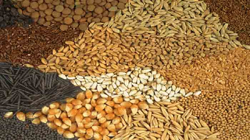 food grain