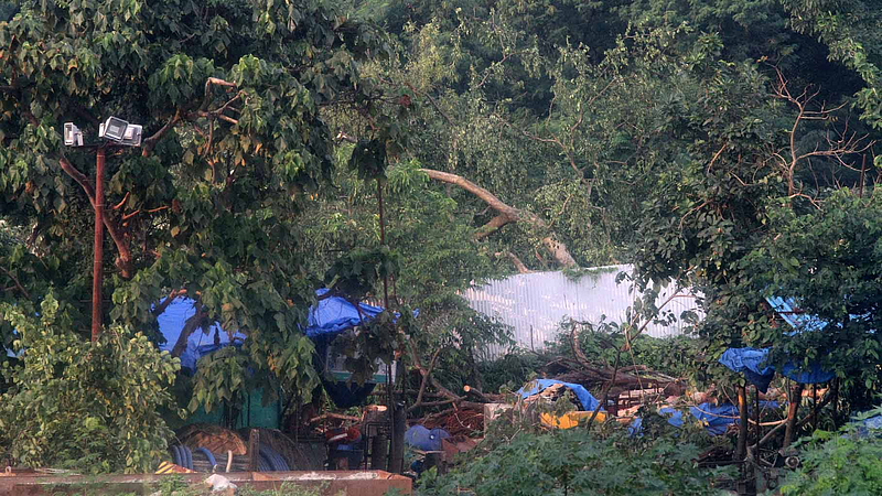 aarey colony