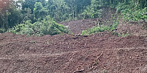 कोल्हापूर : राधानगरी भूस्खलनाच्या धोक्याखाली कोल्हापूर : राधानगरी भूस्खलनाच्या धोक्याखाली