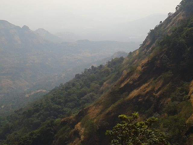 सेल्फी बेतला असता जीवावर; 140 फूट दरीत पडूनही 'तो' बचावला