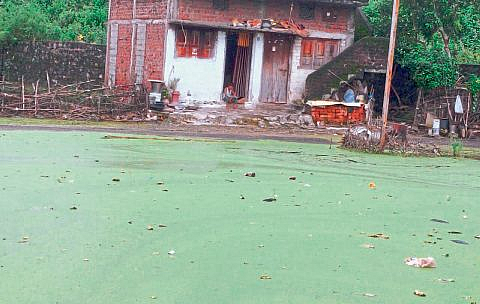 Nagpur : मोकळे भूखंड झाले तलाव