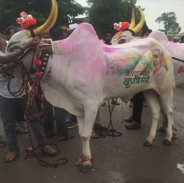 कृषिमंत्री दादाजी भुसे यांचे तैलचित्र